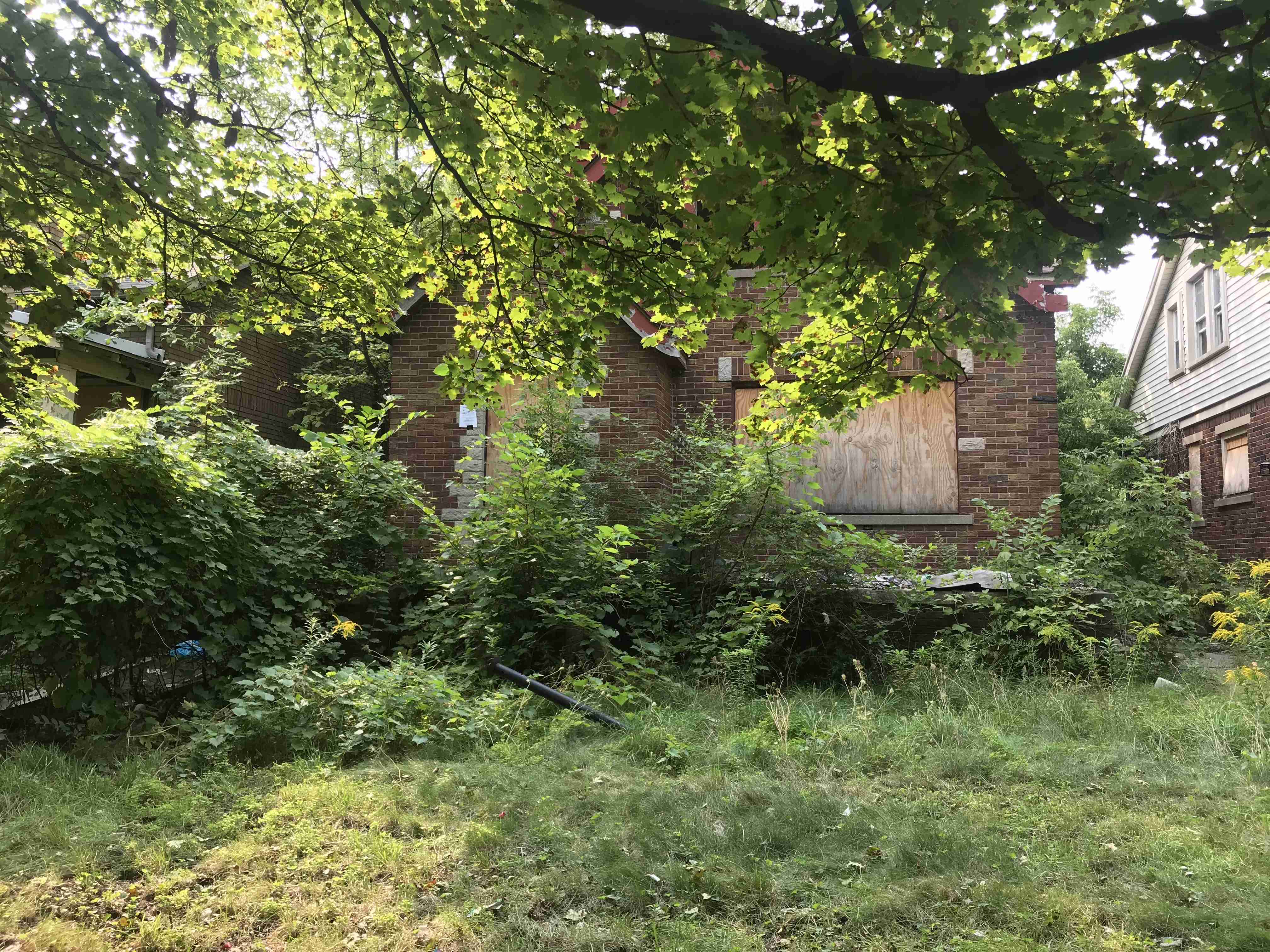 Photo Sep 15, 3 24 48 PM (1).jpg